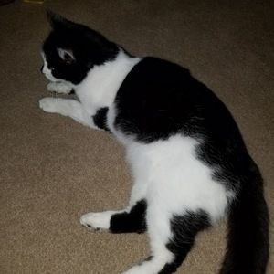 Meet your Posher, Alisha